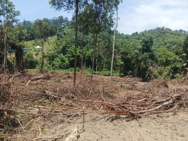 [FREEHOLD] 3 Ekar Tanah Rasa, Batang Kali Hulu Selangor
