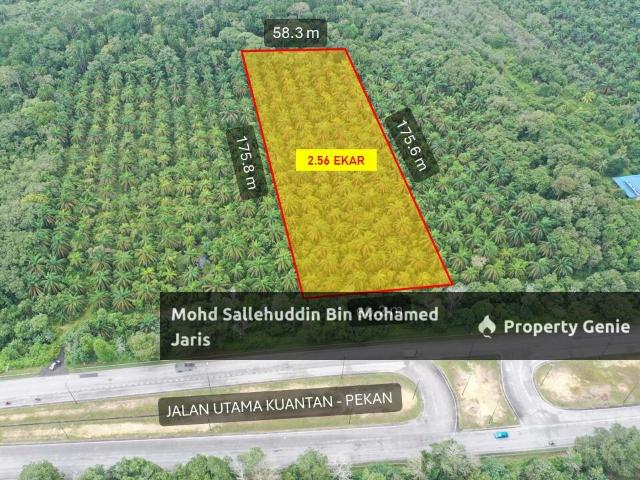 [FREEHOLD] TANAH PERTANIAN 2.5 EKAR TEPI JALAN UTAMA BYPASS KUANTAN PEKAN