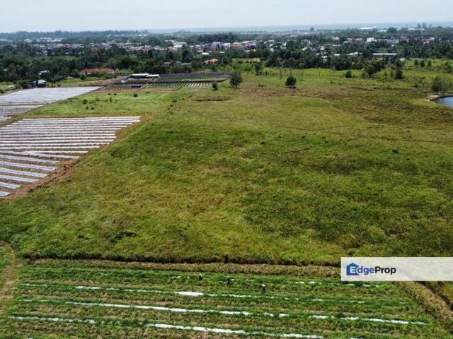 Freehold Agriculture Land @ Tudan, Miri For Sale