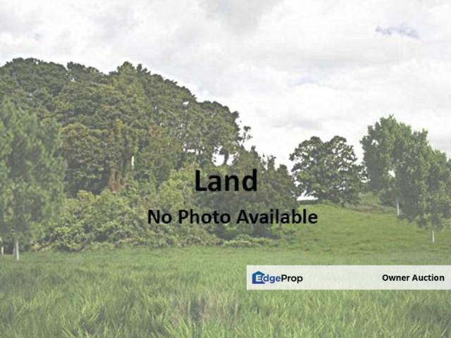 [Freehold] Agriculture Land