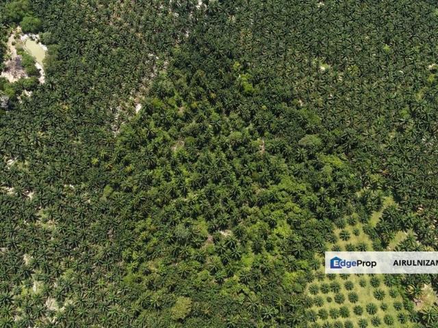 FREEHOLD BIG INT’L LAND 10 ac Kangkar Senangar, Pt Sulong, Batu Pahat