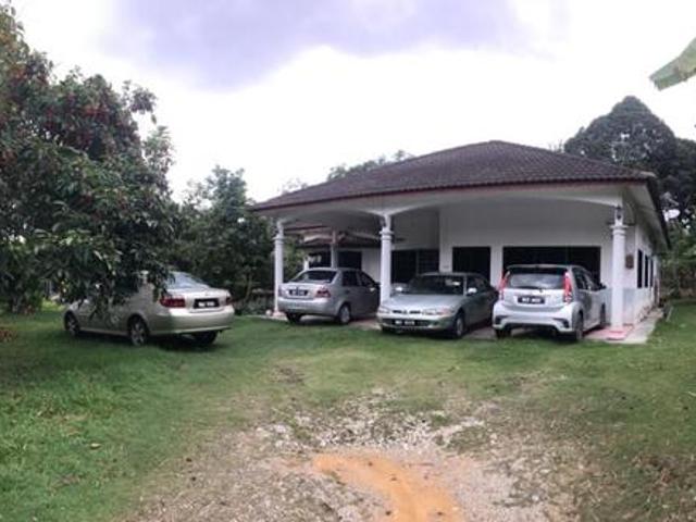 FREEHOLD BIG LAND Bungalow Rim Bukit Katong Jasin Melaka