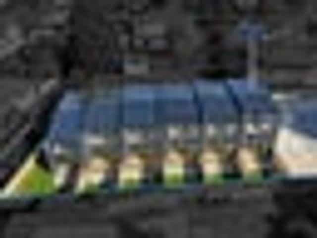 Freehold Design Living by Cornwall Park!