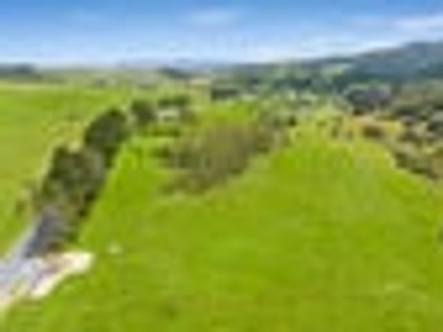 Freehold Kaipara Lifestyle Block Great Value