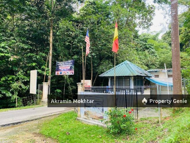 FREEHOLD & MALAY RESERVED | RESORT/CHALET: RIMBUNAN CHALET SUNGAI SENDAT ULU YAM BATANG KALI