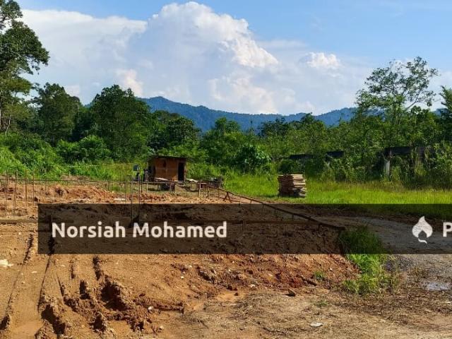 Freehold Malay Rezab Lot Banglo Geran Individu Sg Lui, Hulu Langat