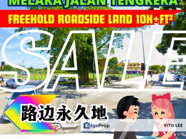 Freehold Roadside Land abt 10K+ sqft