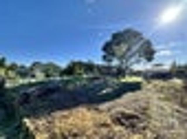 FREEHOLD SECTION WITH ESTABLISHED TREES