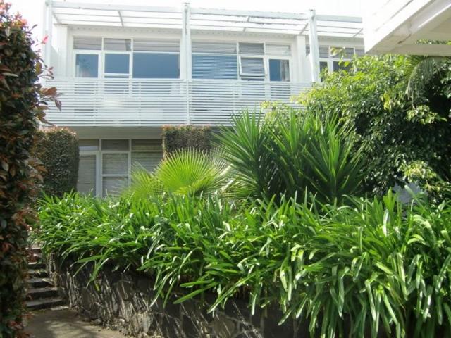 freemans bay, studio