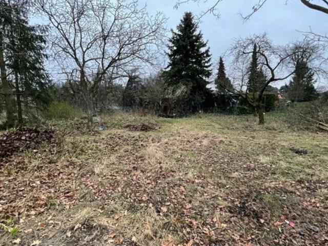 Freies Baugrundstück für Ihren Traum vom Eigenheim