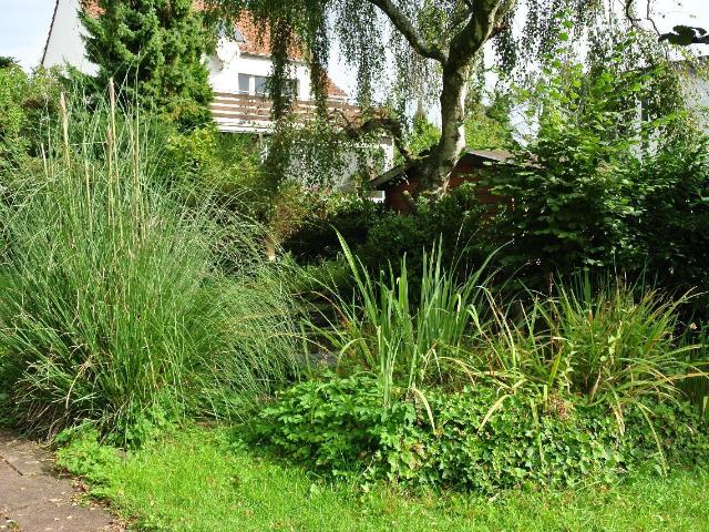 Freistehendes Einfamilienhaus mit großem Garten mit Obstbäumen zu vermieten