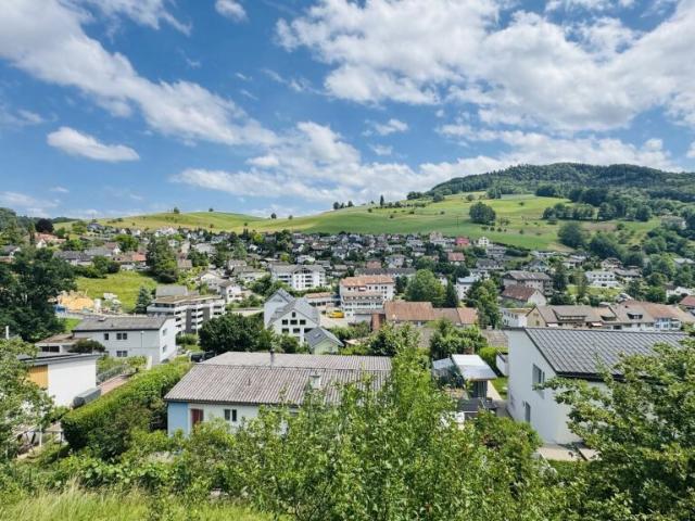 Freistehendes 5 Zimmer EFH mit Garage, Vorplatz, Balkon, Garten und schöner Aussicht