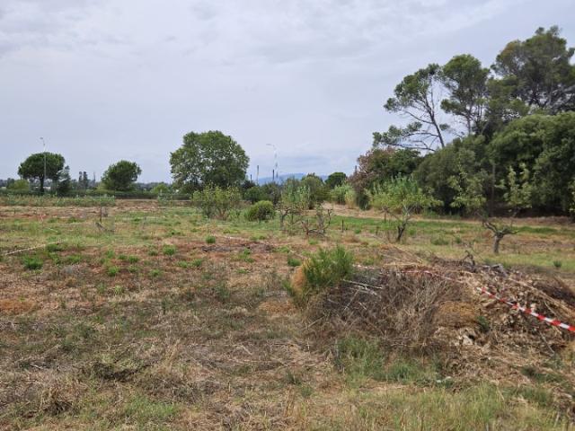 Fréjus Vente Terrain 83