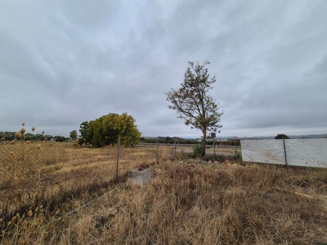 FRENTE A LA BASE LOGISTICA MILITAR, TERRENO RUSTICO