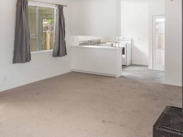 Freshly renovated 4 bedroom home with large section Prime location!