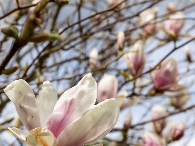 Fritidshus till salu i Nora Grindtorp 16 | Länsförsäkringar Fastighetsförmedling