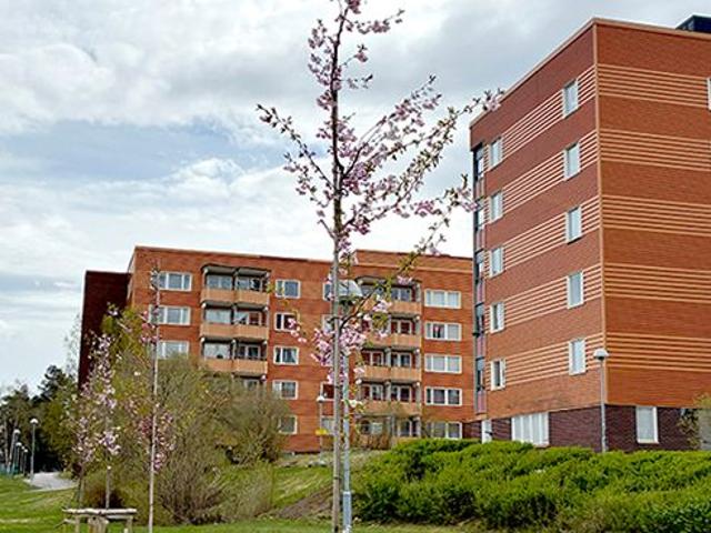 Fridhemsgatan 67 B