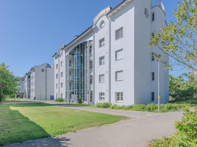 Frisch gestrichene Wohnung? Hier sind Sie an der richtigen Adresse!