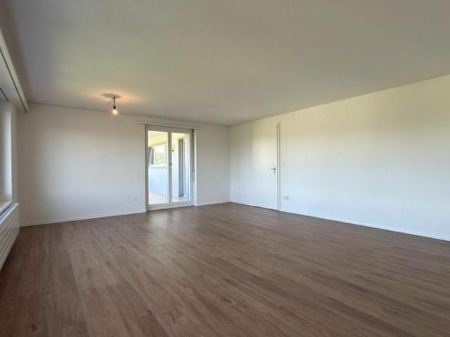 Frisch sanierte 5.5 Zimmer Wohnung mit 2 Balkonen und traumhafter Aussicht ins Grüne