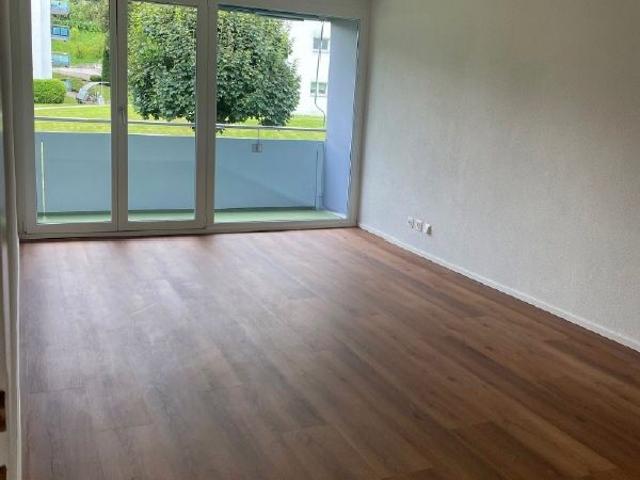 Frisch sanierte Wohnung mit grossen, lichtdurchfluteten Räumen