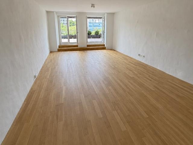 Frisch sanierte Wohnung mit grosser Terrasse und Blick auf die Limmat
