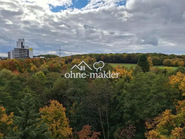 Frisch renoviert ohne Maklergebühren – 2,5 ZKB mit Balkon, Stellplatz und toller Lage in Schwalbach