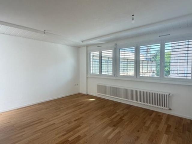 Frisch renovierte 2,5 Zimmer Wohnung