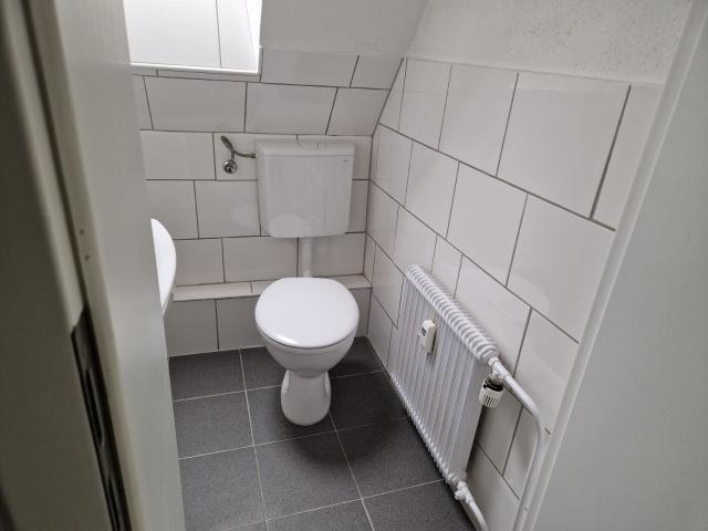 Frisch renovierte, helle 3 Zimmer Wohnung