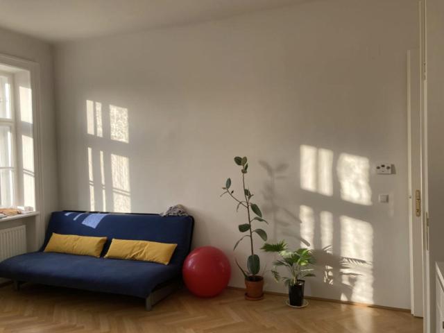 Frisch renovierte moderne Altbauwohnung im stilvollen Design