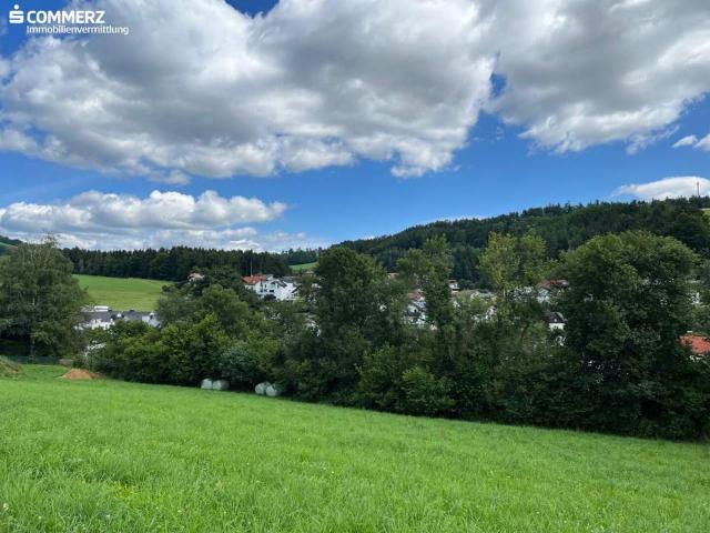 „Frische Luft, Sonne & Ruhe“