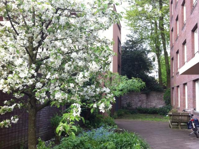 Frisse, lichte, ruime kamer