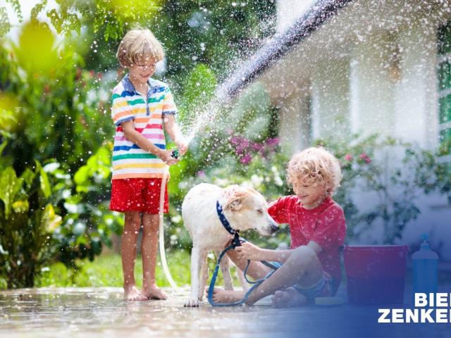 Frühlingserwachen lassen Sie Ihren Traum vom eigenen Haus in nur 10 Monaten erblühen. Mit unserer Best und Festpreisgarantie! Inklusive PV Anlage