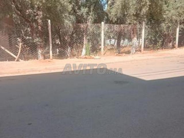 صفرو حي الفرح طريق فةس