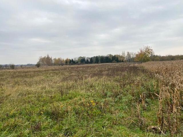 Fryzjerska 4 200 m², Wrocław