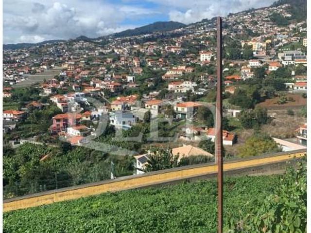 Funchal Funchal 104579865