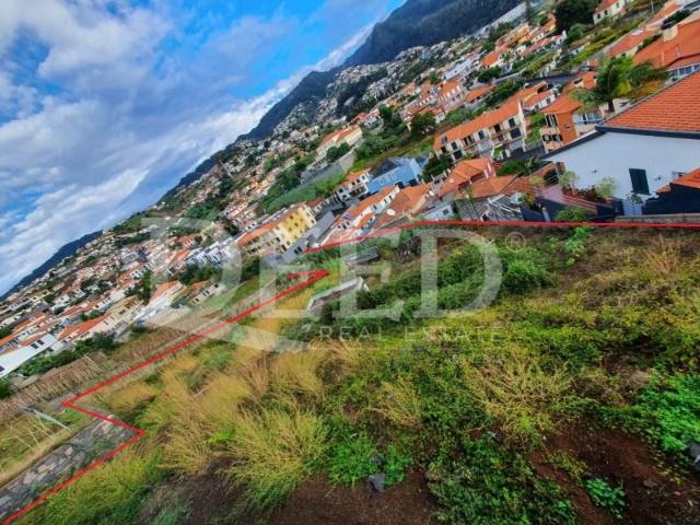 Funchal Funchal 104579862