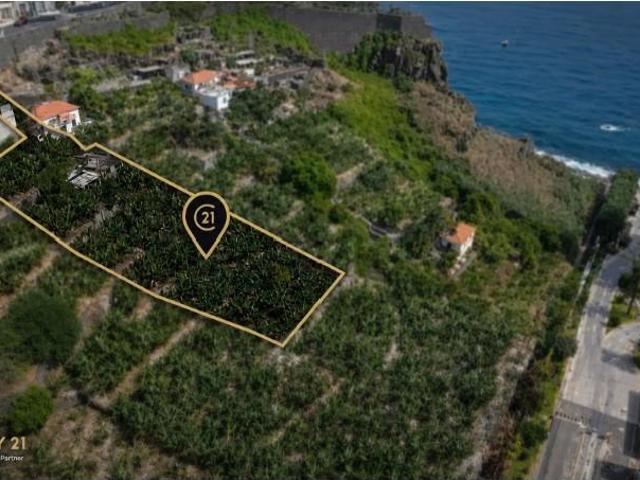 Funchal Funchal 9020 298 103965339
