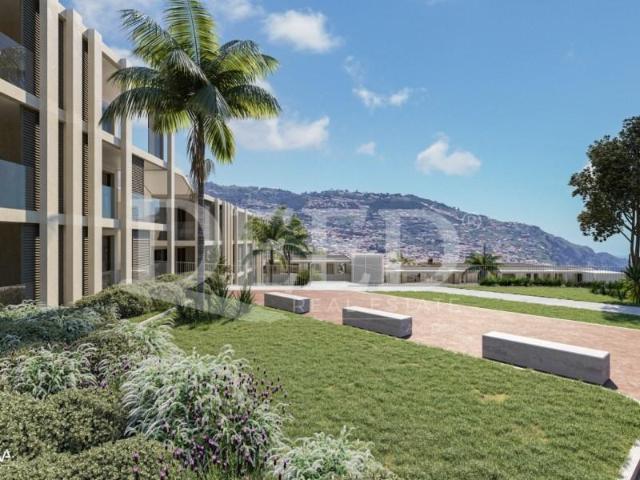 Funchal Funchal 91851423