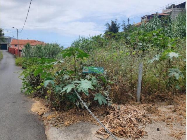 Funchal Funchal 93146829