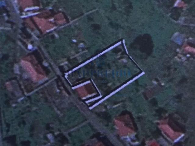 Funchal Funchal 95720834