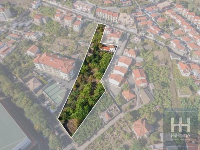 Funchal Funchal 95264575