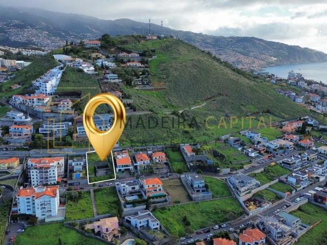 Funchal Funchal 97938934