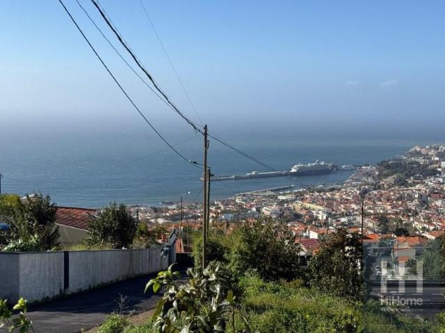 Funchal Funchal 98793821