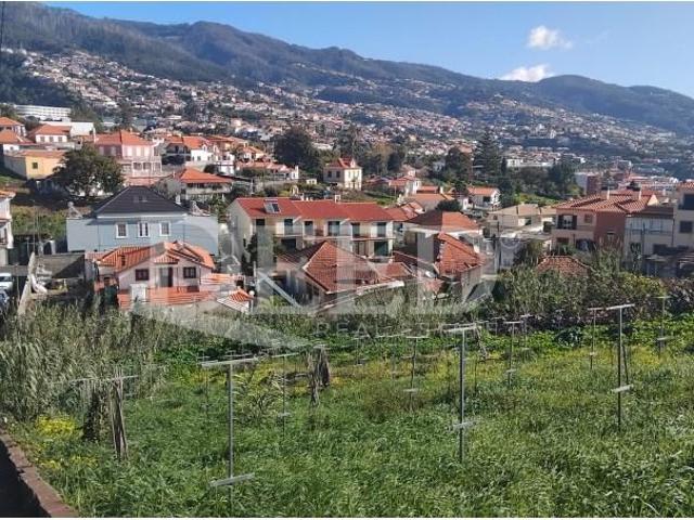 Funchal Funchal 99271922