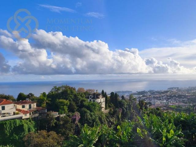 Funchal Funchal LS89572556