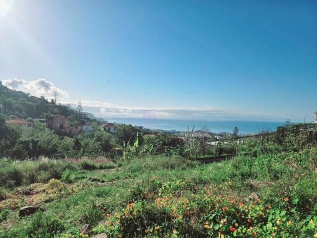 Funchal Funchal LS90122691
