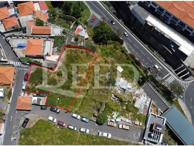Funchal Funchal LS102783887