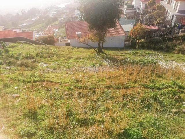Funchal Ilha da Madeira 59833504