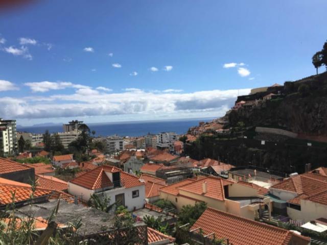 Funchal Ilha da Madeira 82368600