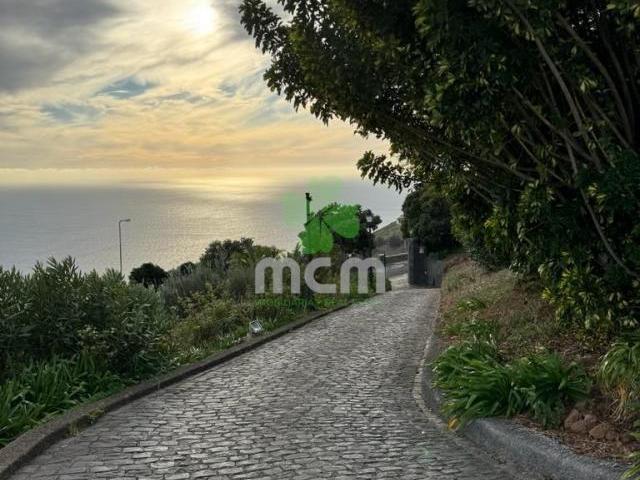 Funchal Ilha da Madeira 84018114